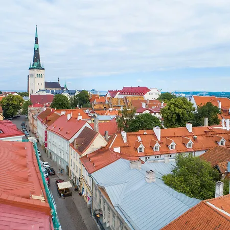 メリトン オールド タウン ガーデン タリン